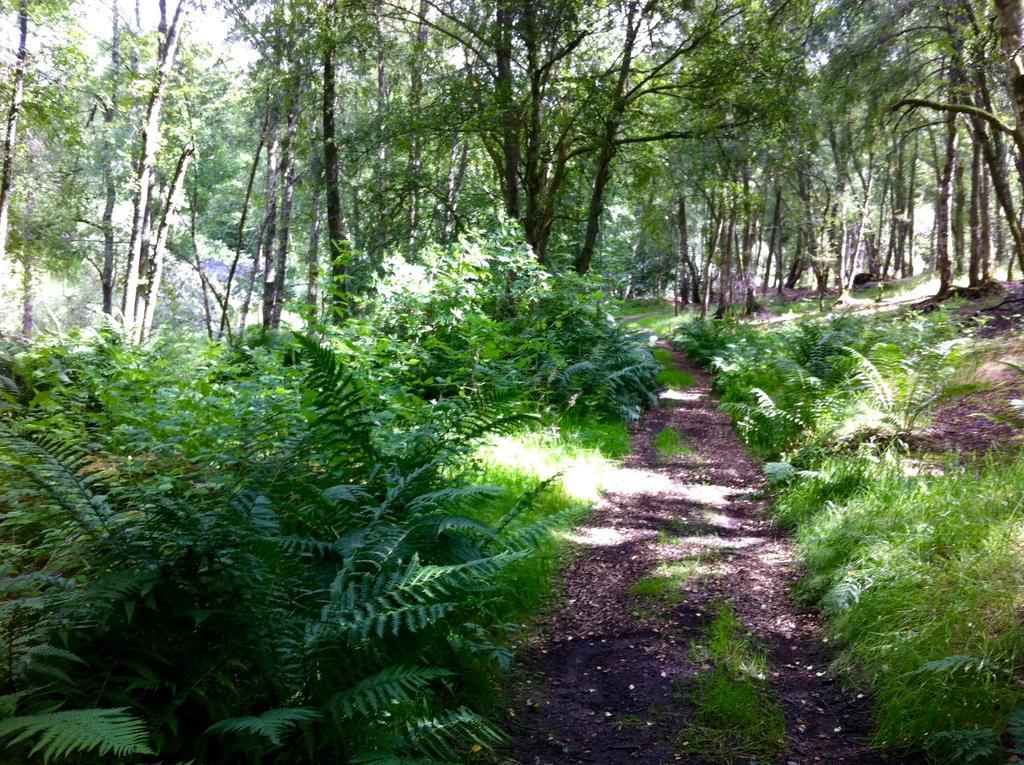 Willa Bamff Ecotourism Alyth Zewnętrze zdjęcie